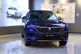 VOYAH New Energy Auto Vehicle