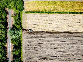 Drought Effects On Agriculture - Netherlands