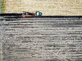 Drought Effects On Agriculture - Netherlands