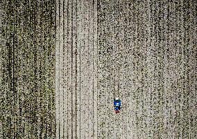 Drought Effects On Agriculture - Netherlands