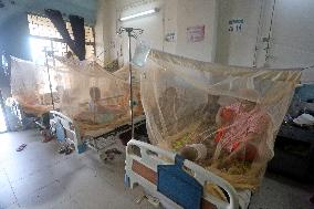 Dengue Fever Has Increased In The Last 24 Hours In Bangladesh