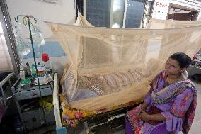Dengue Fever Has Increased In The Last 24 Hours In Bangladesh