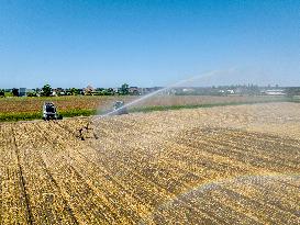 Drought In Netherlands