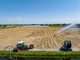 Drought In Netherlands