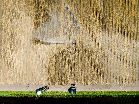 Drought In Netherlands