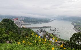 Three Gorges Clean Electricity