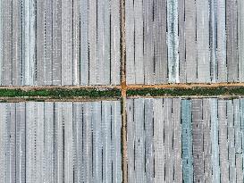 Characteristic Agricultural Products Planting In China