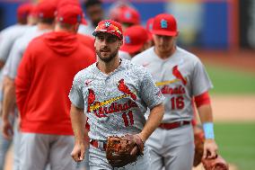 St. Louis Cardinals v New York Mets