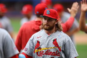 St. Louis Cardinals v New York Mets