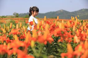 Flower Planting Industry In China
