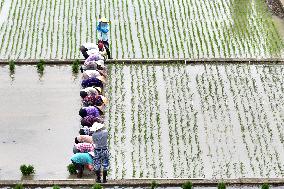 Jiangsu (Wujin) Rice Research Institute in Changzhou