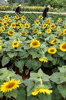 China Agriculture Farmer