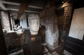 The Sacred Area Of Largo Argentina Opens