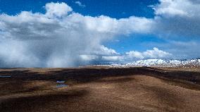 CHINA-QINGHAI-ZONAG LAKE-TIBETAN ANTELOPES (CN)