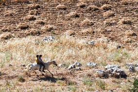 The Al-Rouj Plain Area In The Countryside Of Idlib