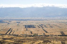 The Al-Rouj Plain Area In The Countryside Of Idlib