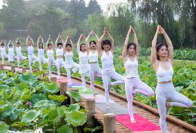 International Day of Yoga