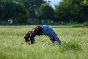 International Yoga Day In Nepal