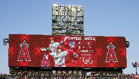 Baseball: Ohtani named AL Player of the Week