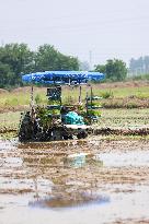 Beidou Intelligent Agriculture in China