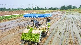 Beidou Intelligent Agriculture in China