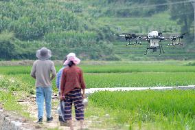 Drone Intelligent Agriculture in China