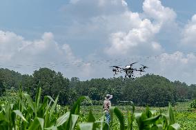 Drone Intelligent Agriculture in China