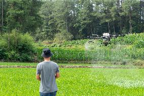 Drone Intelligent Agriculture in China