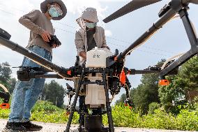 Drone Intelligent Agriculture in China