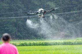 Drone Intelligent Agriculture in China