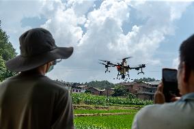 Drone Intelligent Agriculture in China