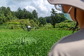 Drone Intelligent Agriculture in China