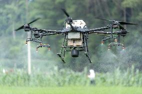 Drone Intelligent Agriculture in China