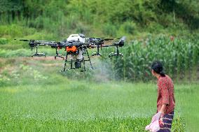 Drone Intelligent Agriculture in China