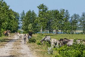 Pape Nature Park In Latvia