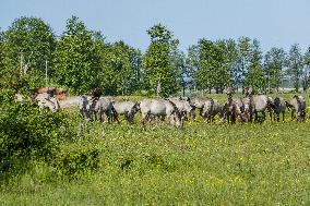 Pape Nature Park In Latvia