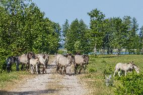 Pape Nature Park In Latvia