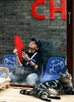 CHINA-BEIJING-DAILY LIFE-CAT CAFE (CN)