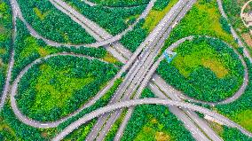 Beautiful Countryside Construction In China