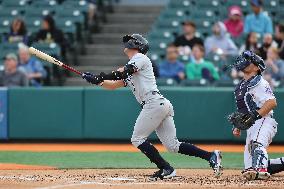 Hudson Valley Renegades v Brooklyn Cyclones