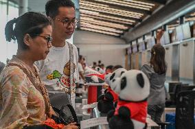 TÜRKIYE-ISTANBUL-CHINA-SICHUAN AIRLINES-CHENGDU-ISTANBUL ROUTE FLIGHT-RESUMPTION