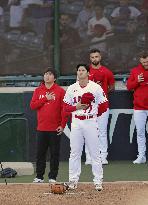 Baseball: Dodgers vs. Angels