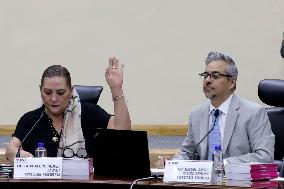 Extraordinary Session Of The National Electoral Institute Of Mexico