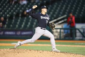 Hudson Valley Renegades v Brooklyn Cyclones