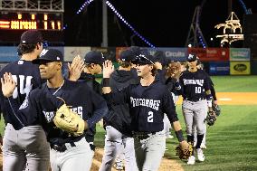 Hudson Valley Renegades v Brooklyn Cyclones