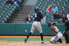 Hudson Valley Renegades v Brooklyn Cyclones