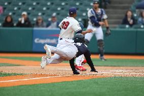 Hudson Valley Renegades v Brooklyn Cyclones