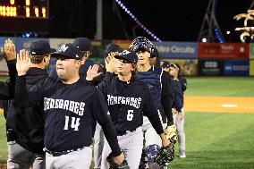 Hudson Valley Renegades v Brooklyn Cyclones