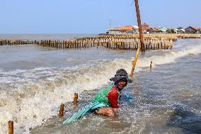 Climate Change Causes Sea Level Rise On The North Coast Of West Java