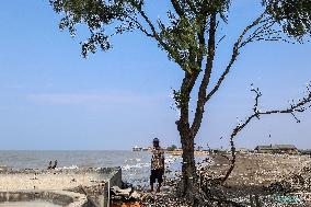 Climate Change Causes Sea Level Rise On The North Coast Of West Java